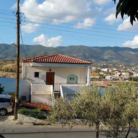 Olive Trees Poros Town Exterior foto