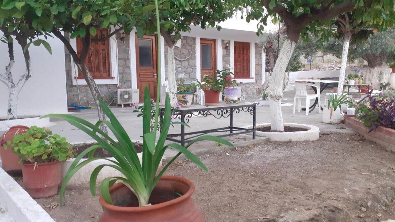 Olive Trees Poros Town Exterior foto